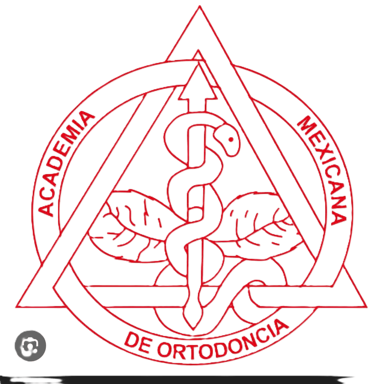 Certificado por la Asociación Mexicana de Ortodoncia